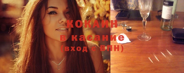 spice Богородск