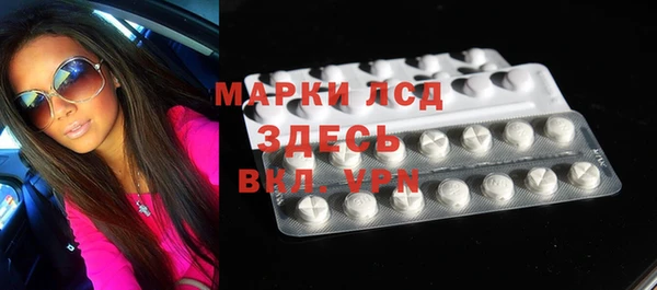 прущие грибы Богородицк