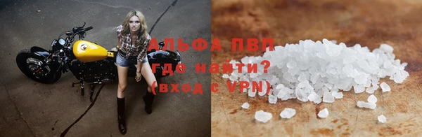 spice Богородск