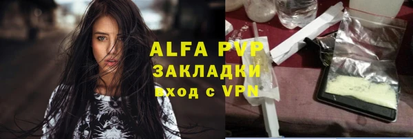 прущие грибы Богородицк