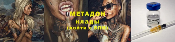 прущие грибы Богородицк