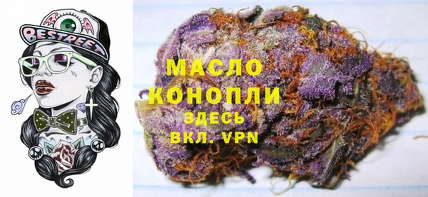 молекула духа Протвино