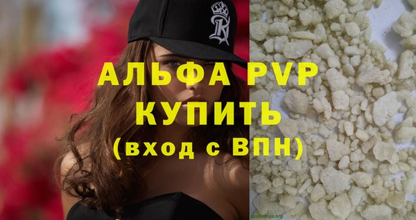 прущие грибы Богородицк
