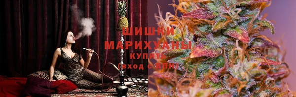 spice Богородск